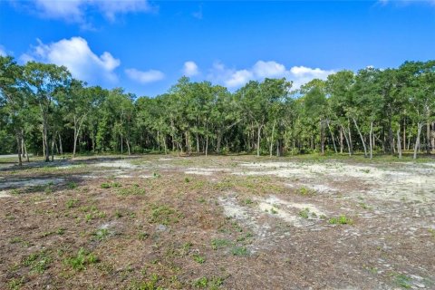 Terreno en venta en Eustis, Florida № 1624769 - foto 2