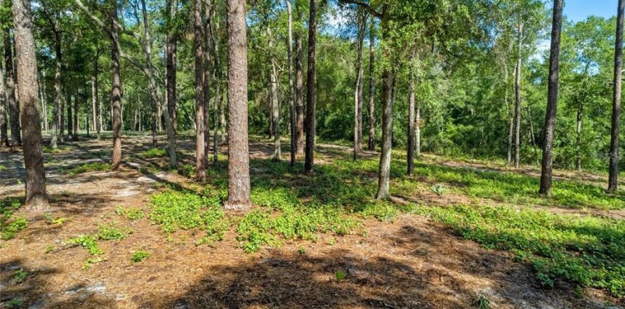Terreno en Eustis, Florida № 1624769