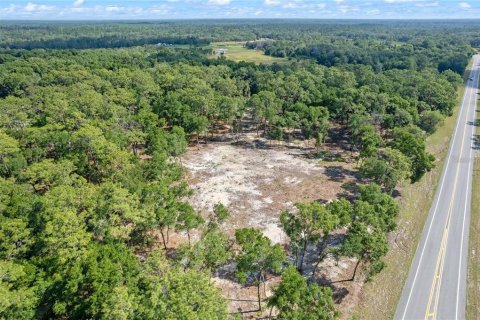 Terreno en venta en Eustis, Florida № 1624769 - foto 14