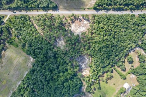 Terreno en venta en Eustis, Florida № 1624769 - foto 19