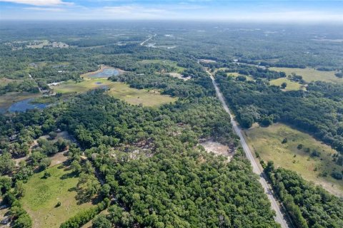 Terreno en venta en Eustis, Florida № 1624769 - foto 20