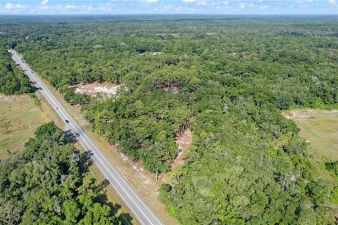 Terreno en venta en Eustis, Florida № 1624769 - foto 24
