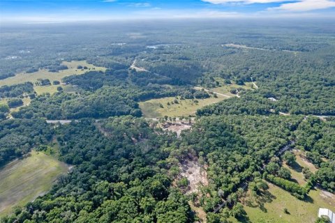 Terreno en venta en Eustis, Florida № 1624769 - foto 7