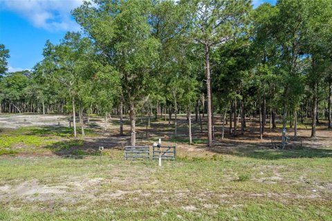 Terreno en venta en Eustis, Florida № 1624769 - foto 16