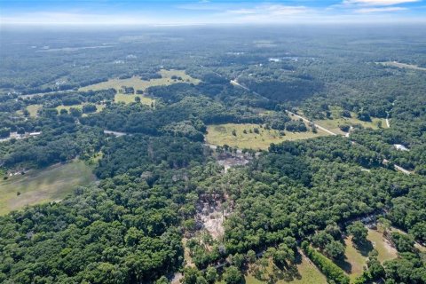 Terreno en venta en Eustis, Florida № 1624769 - foto 8