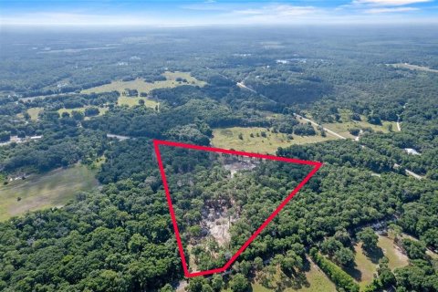 Terreno en venta en Eustis, Florida № 1624769 - foto 13