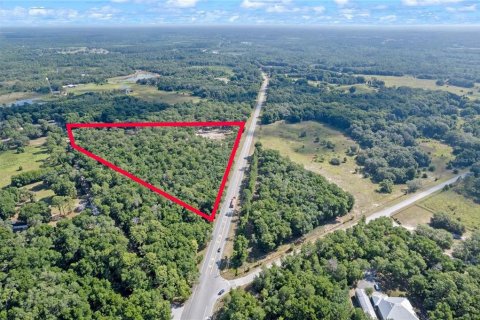 Terreno en venta en Eustis, Florida № 1624769 - foto 10
