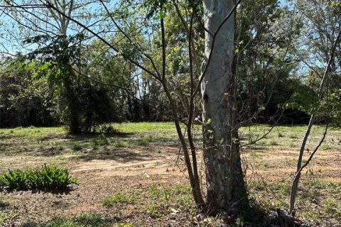 Immobilier commercial à vendre à Groveland, Floride № 2155387 - photo 5