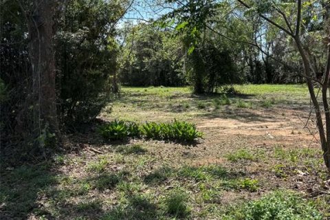 Immobilier commercial à vendre à Groveland, Floride № 2155387 - photo 6