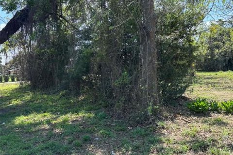 Immobilier commercial à vendre à Groveland, Floride № 2155387 - photo 3
