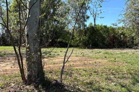 Immobilier commercial à Groveland, Floride № 2155387