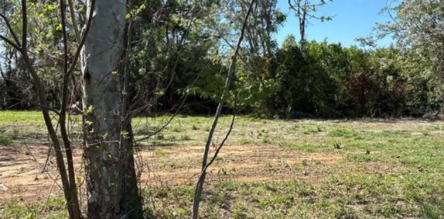 Immobilier commercial à Groveland, Floride № 2155387