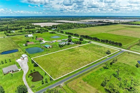 Land in Bradenton, Florida № 1912829 - photo 25