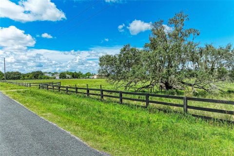 Land in Bradenton, Florida № 1912829 - photo 5