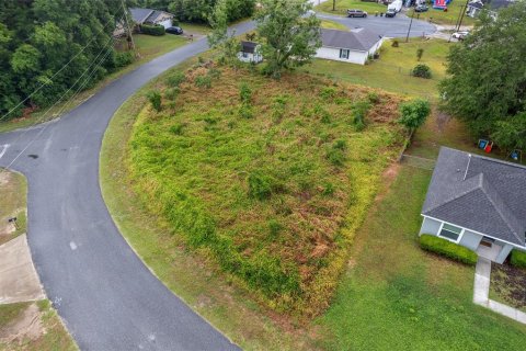 Land in Ocala, Florida № 2158713 - photo 8