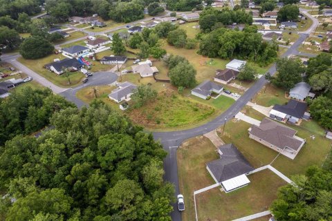 Land in Ocala, Florida № 2158713 - photo 13