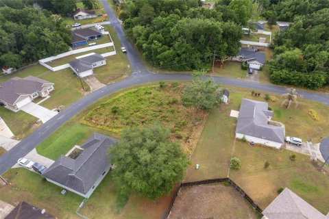 Land in Ocala, Florida № 2158713 - photo 18