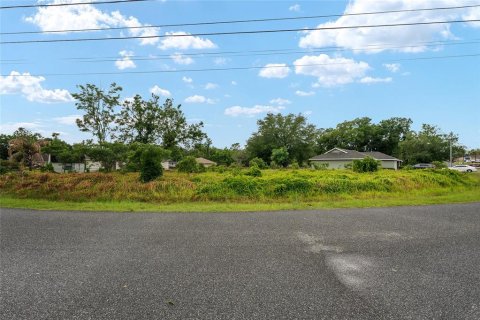 Land in Ocala, Florida № 2158713 - photo 22