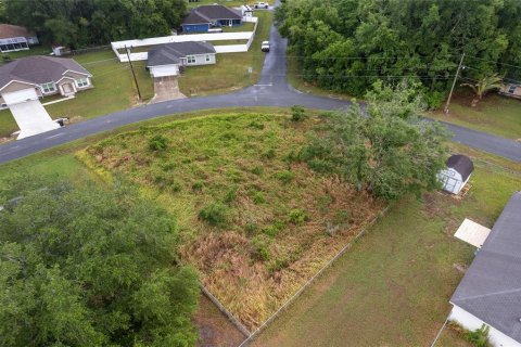 Land in Ocala, Florida № 2158713 - photo 2