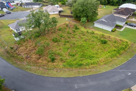 Land in Ocala, Florida № 2158713 - photo 10