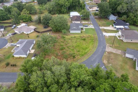 Land in Ocala, Florida № 2158713 - photo 12
