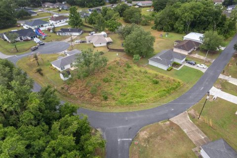 Land in Ocala, Florida № 2158713 - photo 11