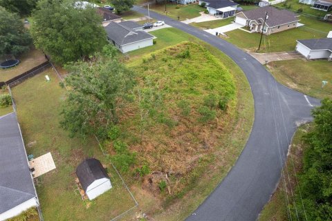 Land in Ocala, Florida № 2158713 - photo 9
