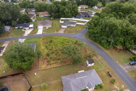Land in Ocala, Florida № 2158713 - photo 20