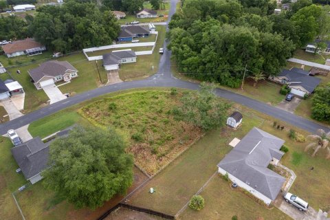 Land in Ocala, Florida № 2158713 - photo 19