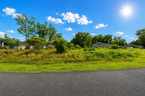 Land in Ocala, Florida № 2158713 - photo 3
