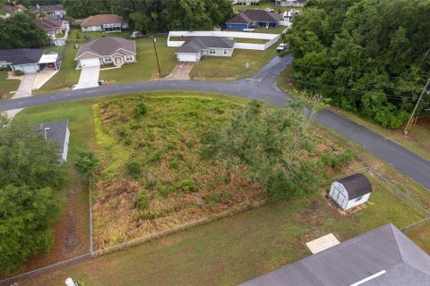 Land in Ocala, Florida № 2158713 - photo 21