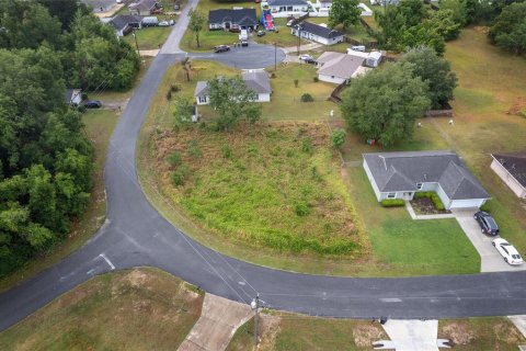 Land in Ocala, Florida № 2158713 - photo 6