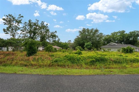 Land in Ocala, Florida № 2158713 - photo 5