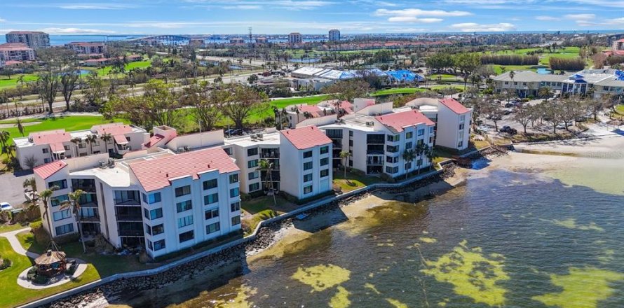 Condo in Saint Petersburg, Florida, 2 bedrooms  № 1422718