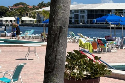 Condo in Boynton Beach, Florida, 1 bedroom  № 2188370 - photo 4