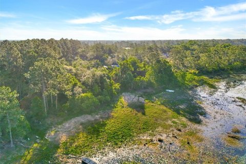 Land in DeLand, Florida № 2148352 - photo 9