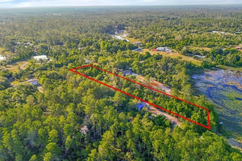 Land in DeLand, Florida № 2148352