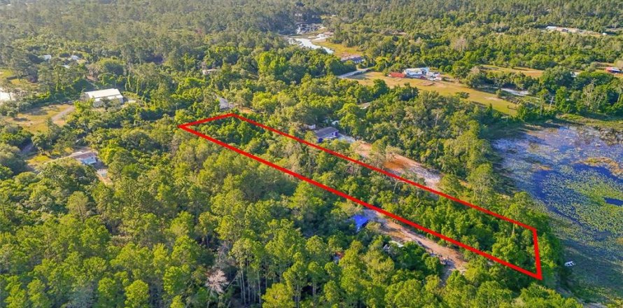 Land in DeLand, Florida № 2148352