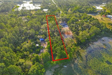 Land in DeLand, Florida № 2148352 - photo 2