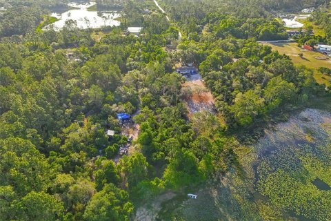 Land in DeLand, Florida № 2148352 - photo 7
