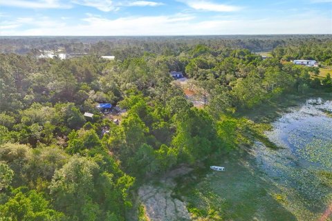 Land in DeLand, Florida № 2148352 - photo 8