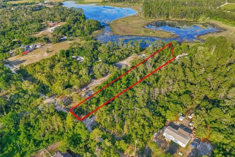 Land in DeLand, Florida № 2148352 - photo 12