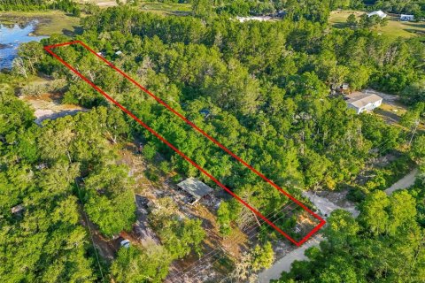 Land in DeLand, Florida № 2148352 - photo 6