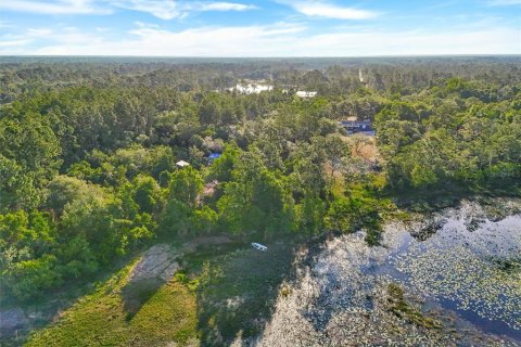 Land in DeLand, Florida № 2148352 - photo 11