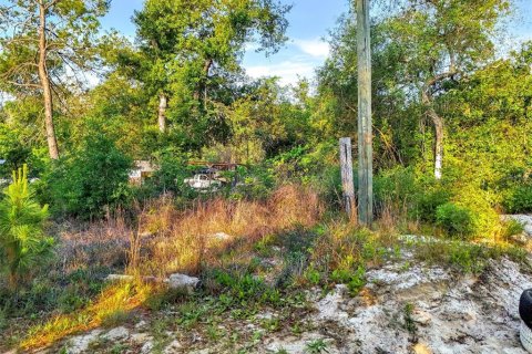 Land in DeLand, Florida № 2148352 - photo 5