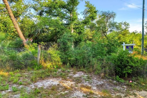 Land in DeLand, Florida № 2148352 - photo 4