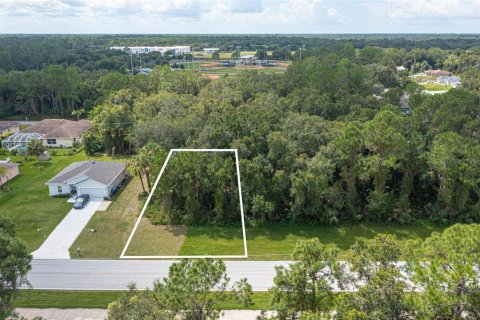 Land in North Port, Florida № 2210760 - photo 2