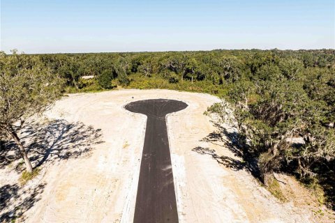 Land in Oxford, Florida № 1508510 - photo 10
