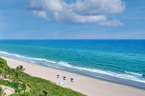 Copropriété à vendre à Boca Raton, Floride: 2 chambres, 134.52 m2 № 2414671 - photo 25