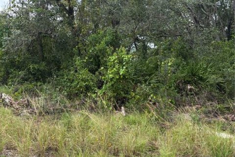 Land in New Port Richey, Florida № 2378160